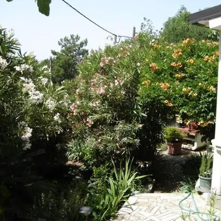Grosse Mit Garten In Apartment